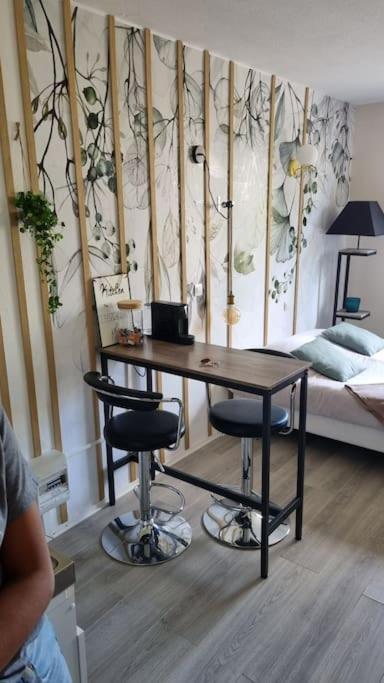 Hsh France Location Disney Land Paris - Suite Nicolas - Appartement De Charme Bussy-Saint-Georges Exterior foto